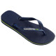 Havaianas Brasil Logo